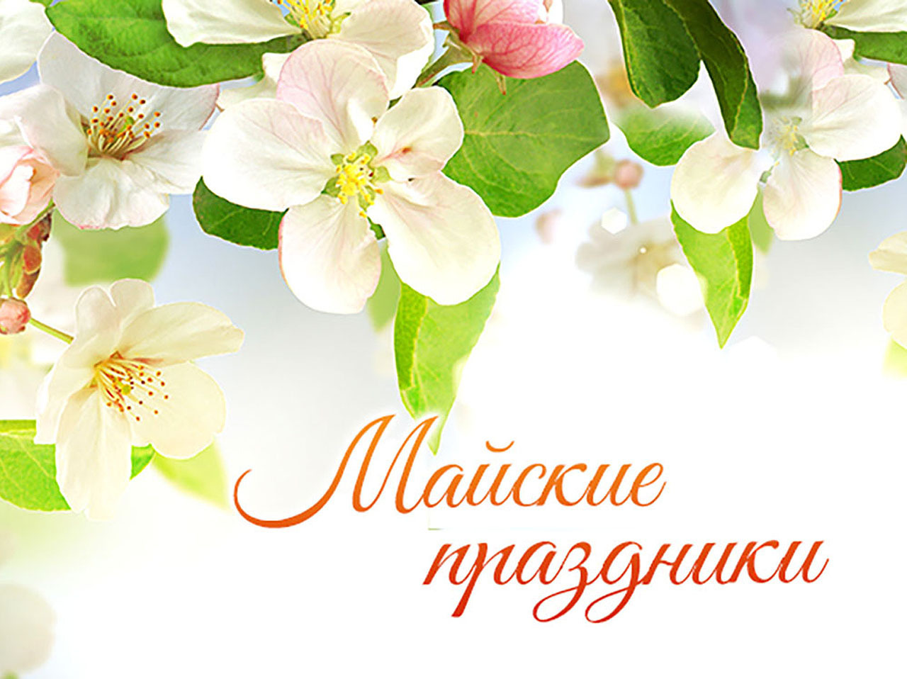 Май 2025